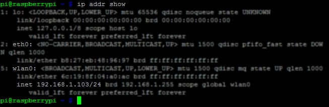 Raspberry Pi ip addr show