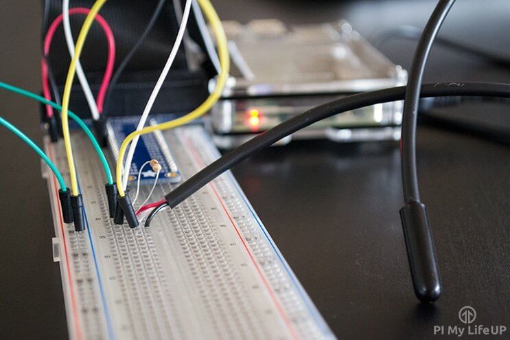 Temperature Sensing Using DS18B20 Digital Sensors