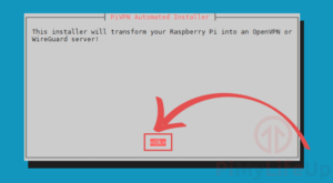 install openvpn access server raspberry pi