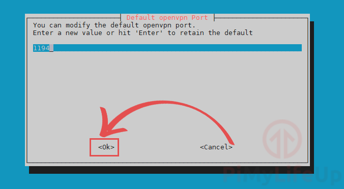 Set default OpenVPN port