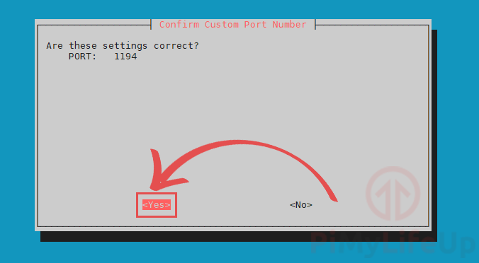 Confirmar as definições da porta OpenVPN