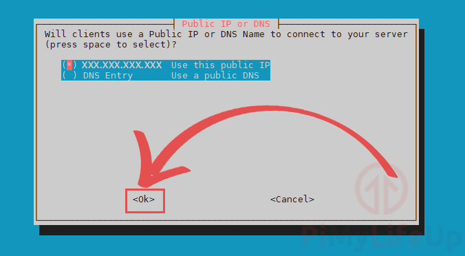 PiVPN Selecionar IP público ou DNS