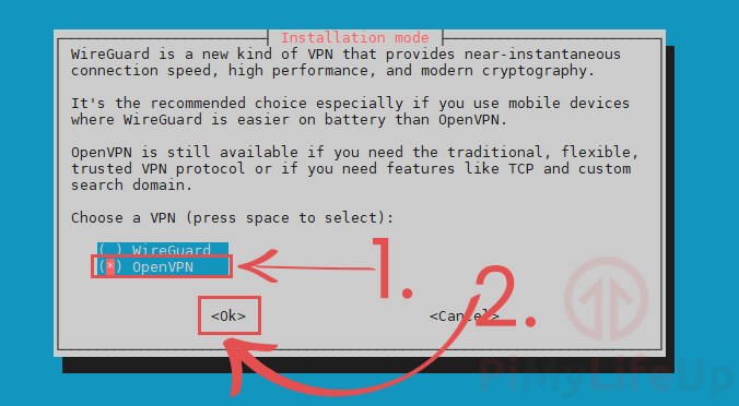 PiVPN Scegliere il tipo di software VPN - OpenVPN