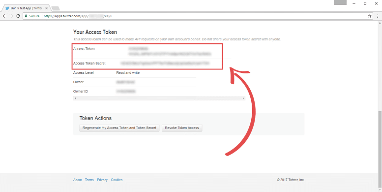 Twitter Access Tokens