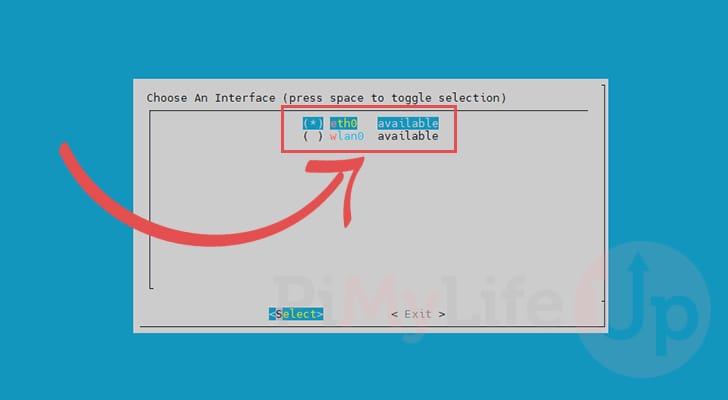 Select Network Interface for Raspberry Pi Pi-hole