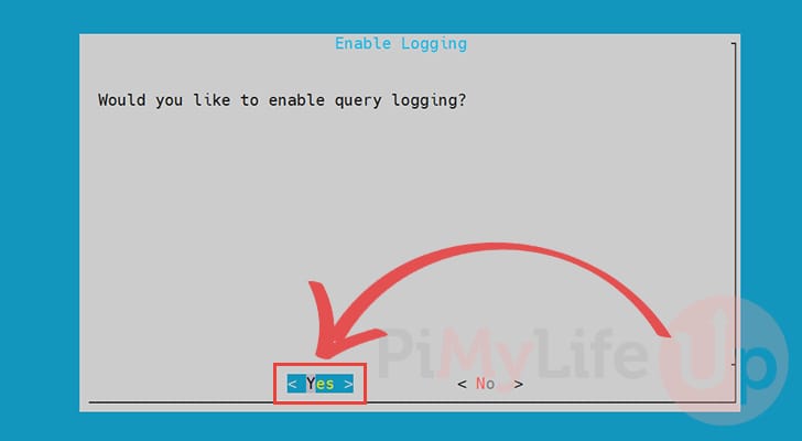 Enable DNS query logging