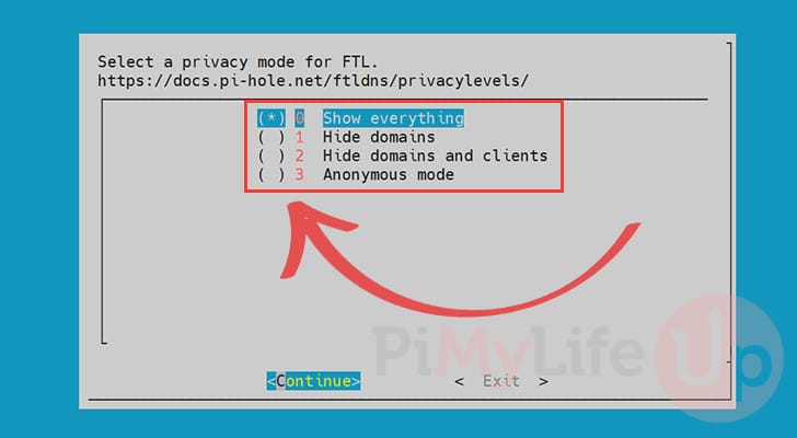 Set privacy mode for Pi-Hole FTL service