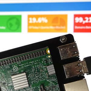 How to Setup a Raspberry Pi DNS Server - Pi My Life Up