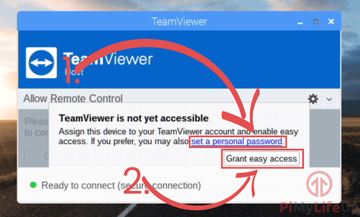 TeamViewer App Select Access or Set Password