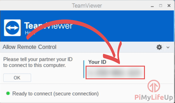 teamviewer raspberry pi headless