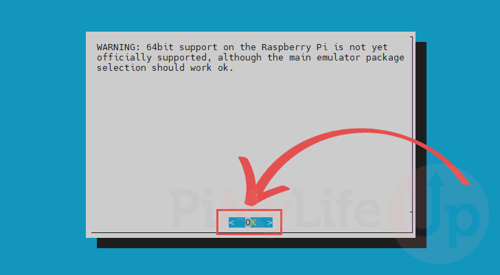 Installing RetroPie on 64-bit Raspberry Pi Warning