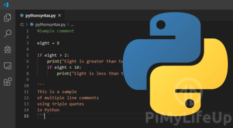Introduction to Python Syntax - Pi My Life Up