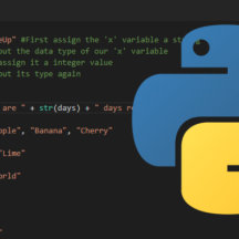 How to Use the String join() Method in Python - Pi My Life Up