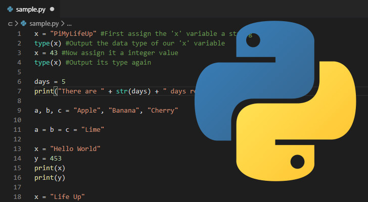 Variables in Python - Pi My Life Up