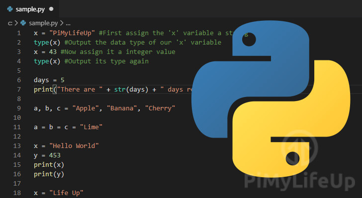 python-check-if-the-variable-is-an-integer-python-guides