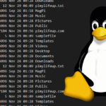 File Permissions in Linux Thumbnail