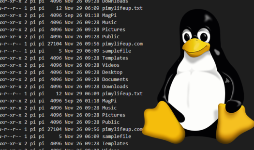 The Basics of File Permissions in Linux Thumbnail