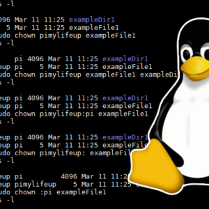 How to Pipe Output to a File in Linux - Pi My Life Up