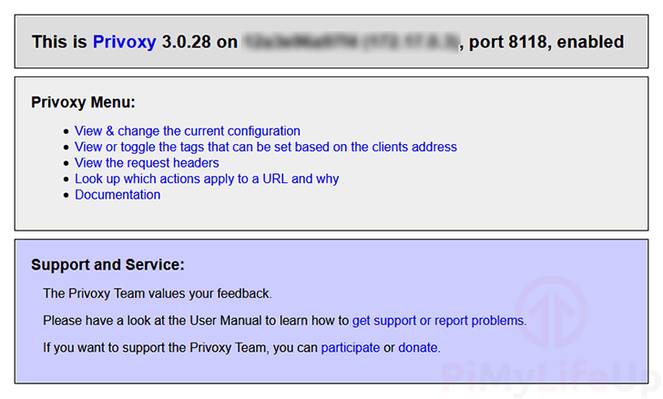 Raspberry Pi Proxy Server Successful Connection