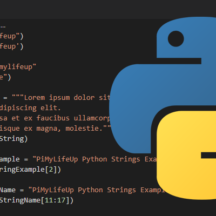 Guide to Arrays in Python - Pi My Life Up