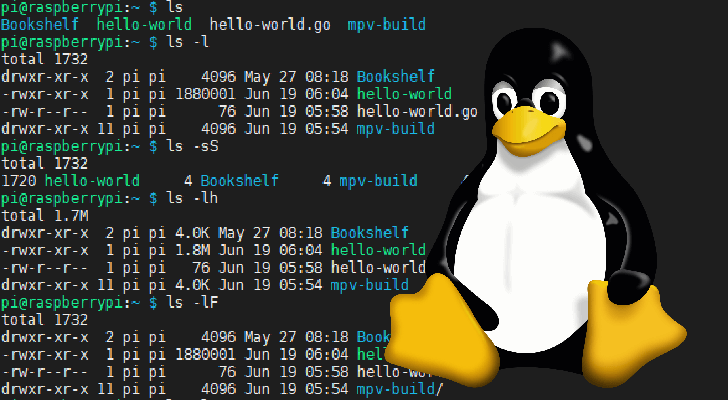 the-ls-command-in-linux-pi-my-life-up