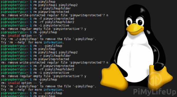 Linux rm скрытые файлы