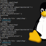 rm command in Linux