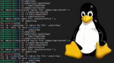 rm command in Linux