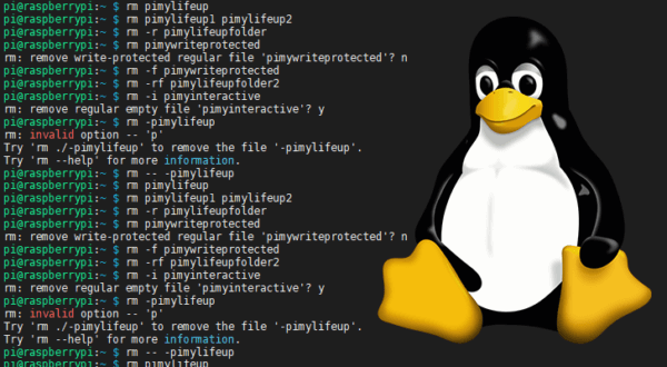 Searching for Files on Linux using the find Command - Pi My Life Up