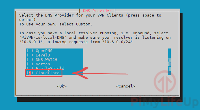Select DNS Provider to route WireGuard through