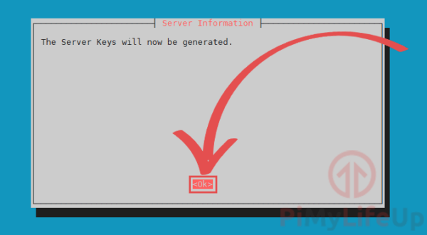 Setting up a WireGuard VPN on the Raspberry Pi - Pi My Life Up
