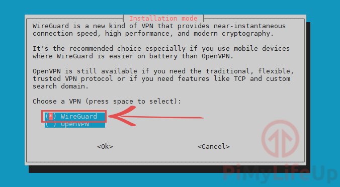 Select WireGuard as VPN for Raspberry Pi