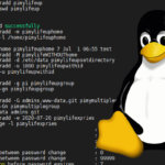 useradd command on Linux