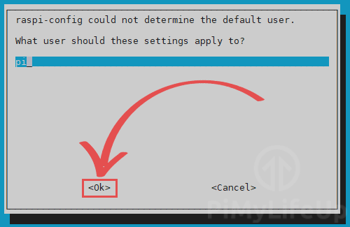 Raspi-Config cant determine user