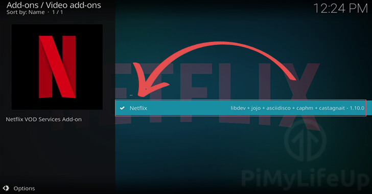 Select the Netflix Add-on