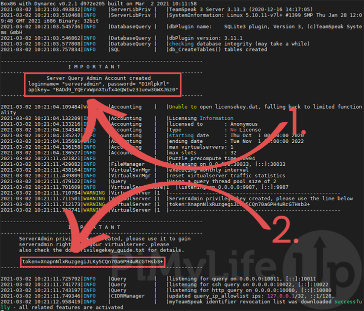 Raspberry pi TeamSpeak Server Successfully Running