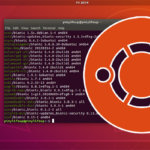 Ubuntu list installed packages