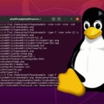 Find command linux