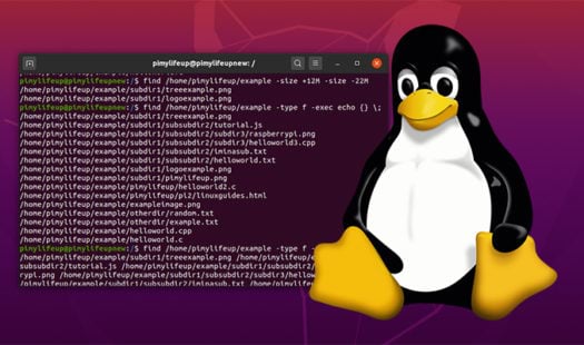 Finding Files on Linux using the find Command Thumbnail