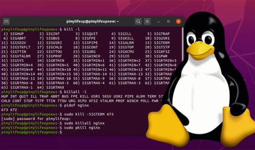 How to Kill a Process on Linux Thumbnail