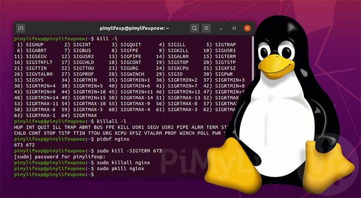 kill process on linux