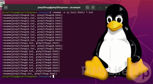 rename file in linux