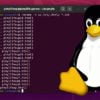 How to Pipe Output to a File in Linux - Pi My Life Up