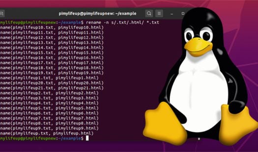 How to Rename a File or Directory on Linux Thumbnail