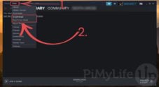 How to Run Steam on a Raspberry Pi - Pi My Life Up