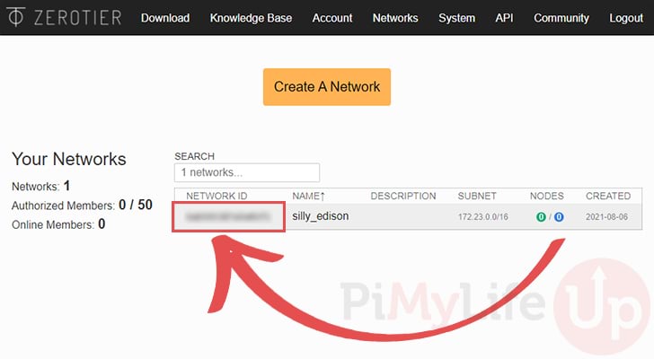 Find ZeroTier Network ID for Raspberry Pi