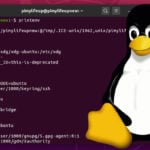 Environment Variables on Linux Pinterest