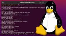 Environment Variables on Linux Pinterest