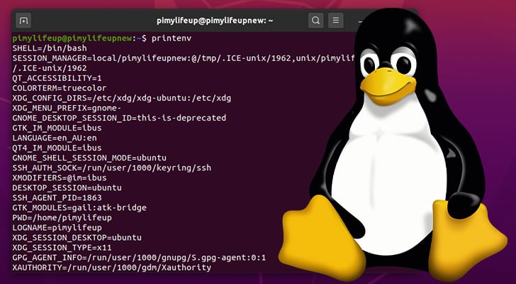 Env Command in Linux, Linux