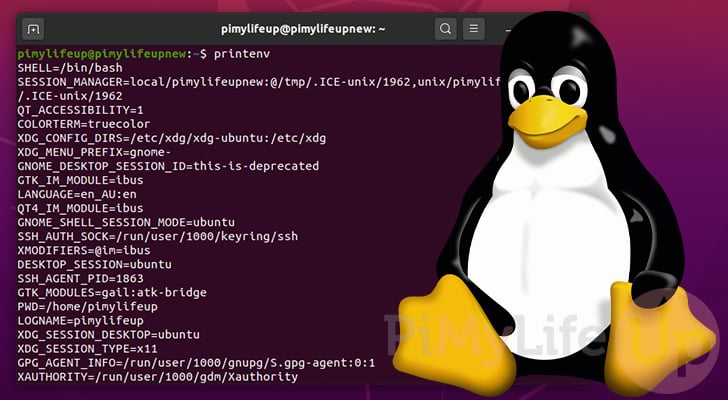 Environmental Variables Examples In Linux